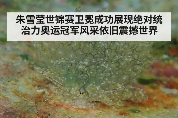 朱雪莹世锦赛卫冕成功展现绝对统治力奥运冠军风采依旧震撼世界